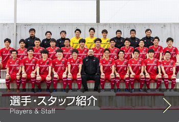 チーム情報 Honda Fc