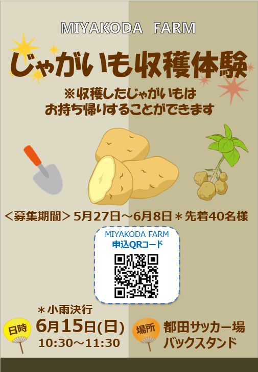 じゃがいも収穫体験案内