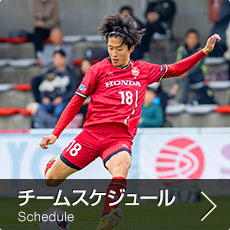 チームスケジュール